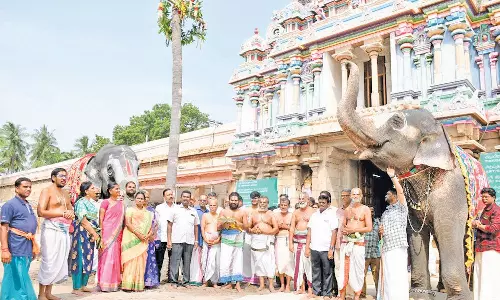 ஸ்ரீரங்கம் ரெங்கநாதர் கோவிலில் கார்த்திகை தீபத் திருநாள் சொக்கப்பனை பந்தலுக்கான முகூர்த்தக்கால் நடப்பட்டது