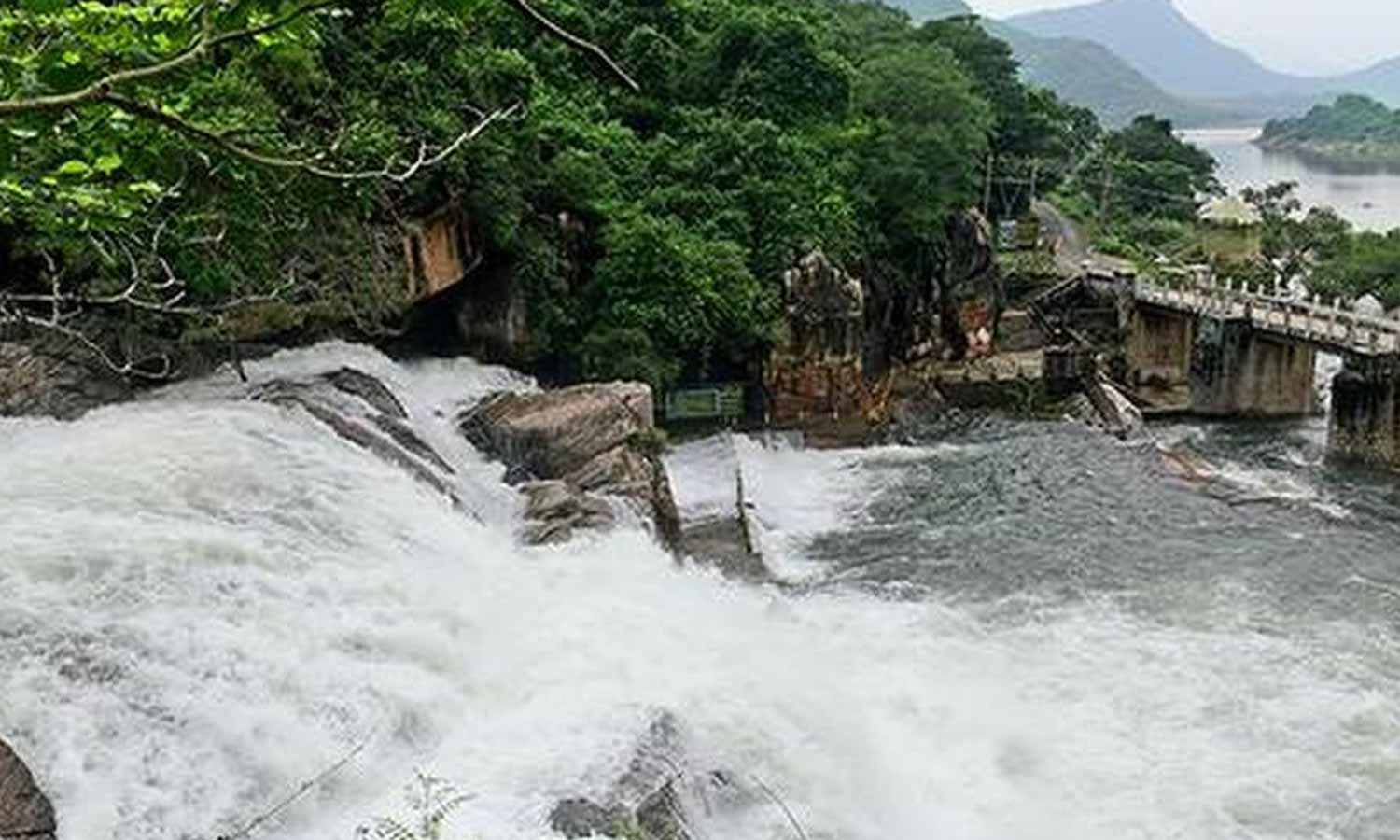 மணிமுத்தாறு, அகஸ்தியர் அருவிகளில் ஆர்ப்பரிக்கும் தண்ணீர்- சுற்றுலா பயணிகள் குளிக்க தடை நீடிப்பு