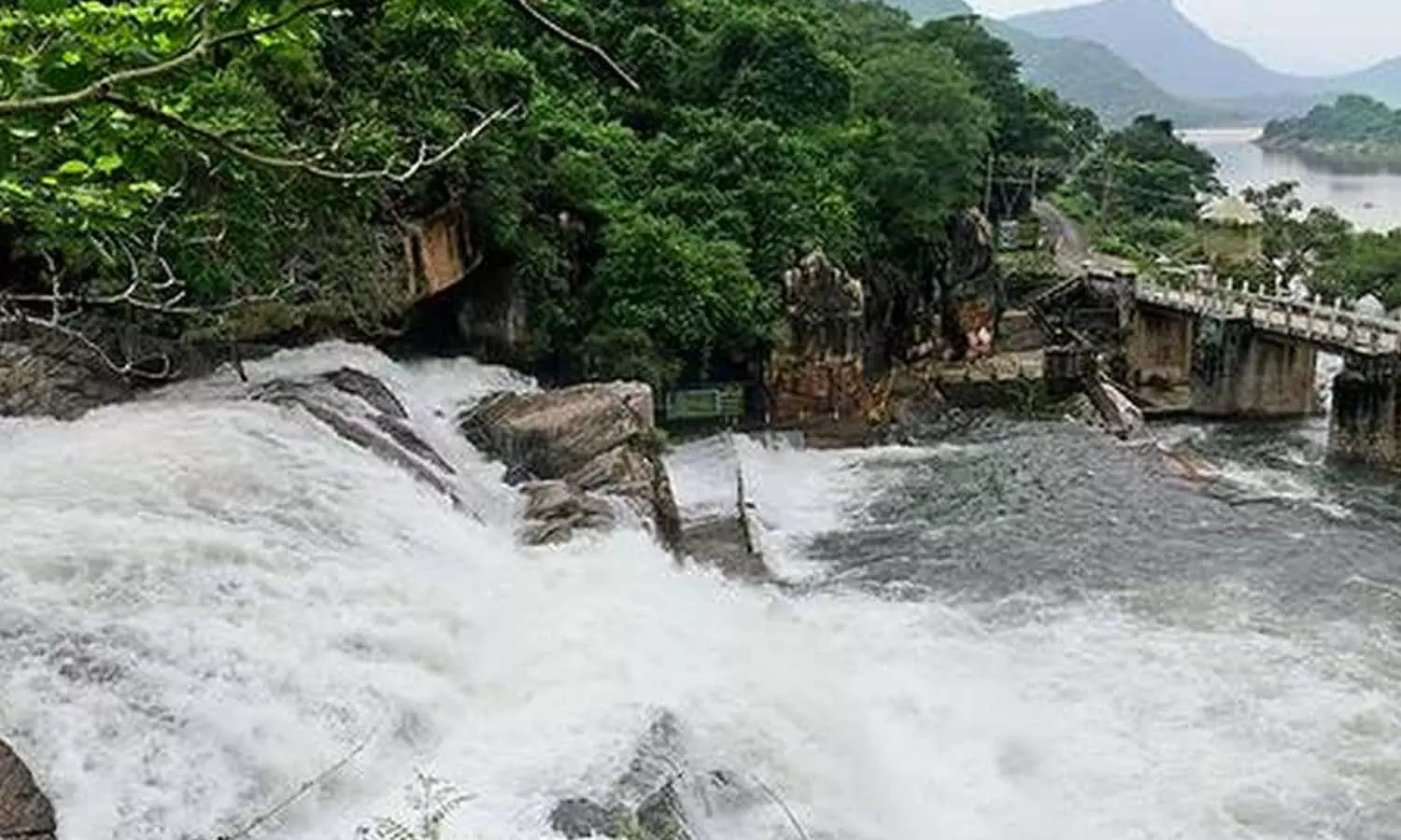 மணிமுத்தாறு, அகஸ்தியர் அருவிகளில் ஆர்ப்பரிக்கும் தண்ணீர்- சுற்றுலா பயணிகள் குளிக்க தடை நீடிப்பு