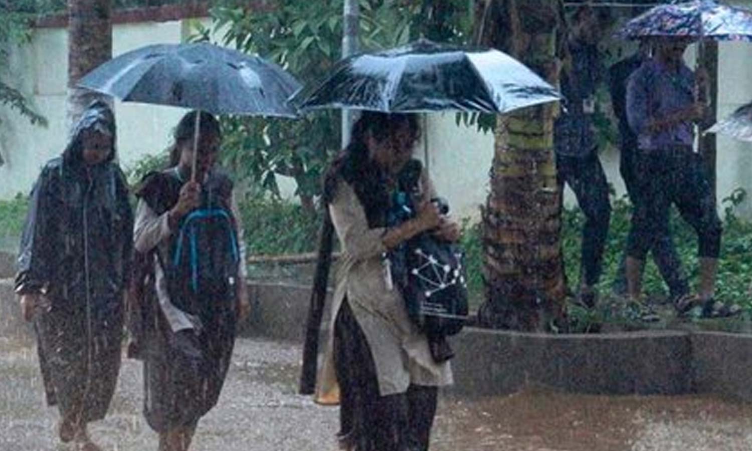 'டிட்வா' புயல்... கடலூரில் நாளை பள்ளி, கல்லூரிகளுக்கு விடுமுறை