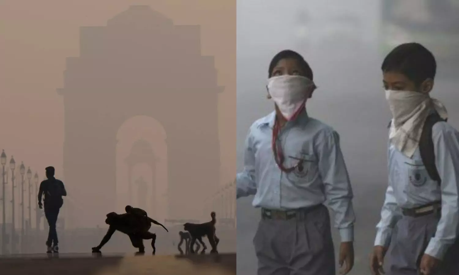 விஷத்தை சுவாசிக்கும் மக்கள்?.. டெல்லி காற்று மாசுக்கு முக்கிய காரணம் என்ன? - ஆய்வு முடிவுகள் கூறுவது இதுதான்