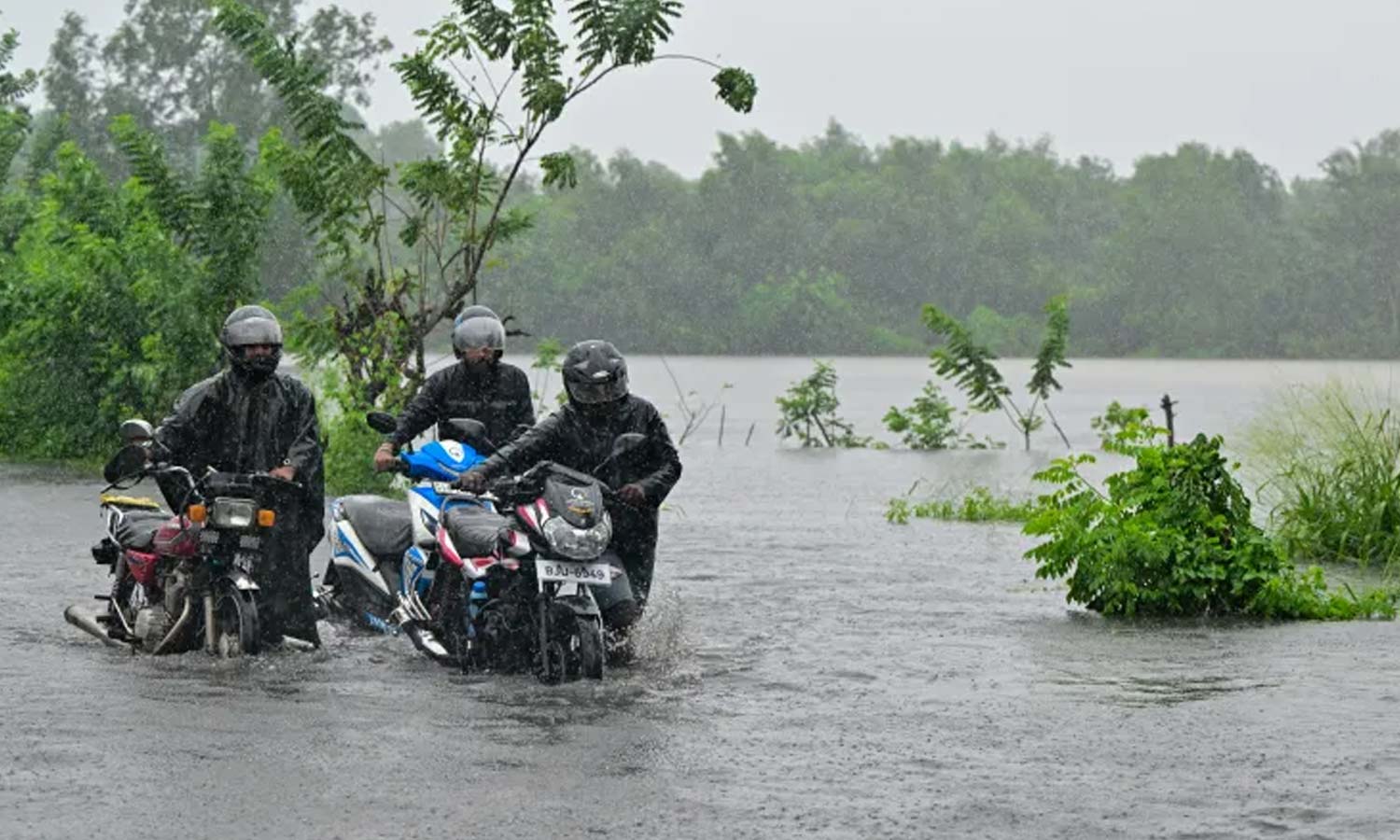 இலங்கையை புரட்டிப் போட்ட டிட்வா புயல்: பலி எண்ணிக்கை 85-ஆக உயர்வு