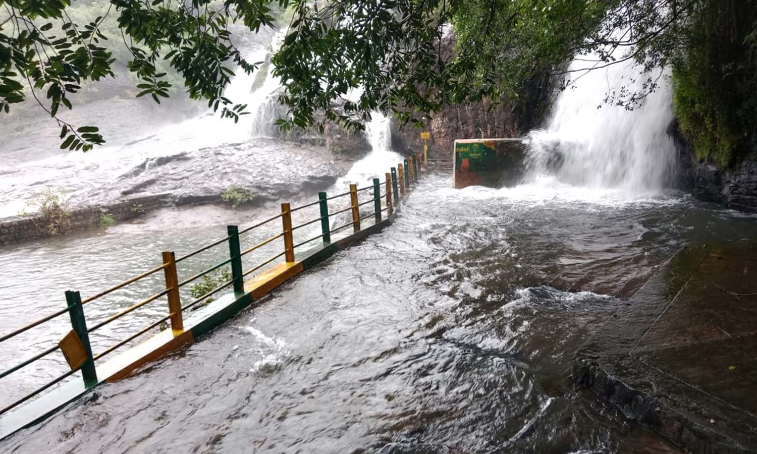 நெல்லை, தென்காசி, தூத்துக்குடியில் இடைவிடாது பெய்யும் மழை - அருவிகளில் குளிக்க தடை நீடிப்பு