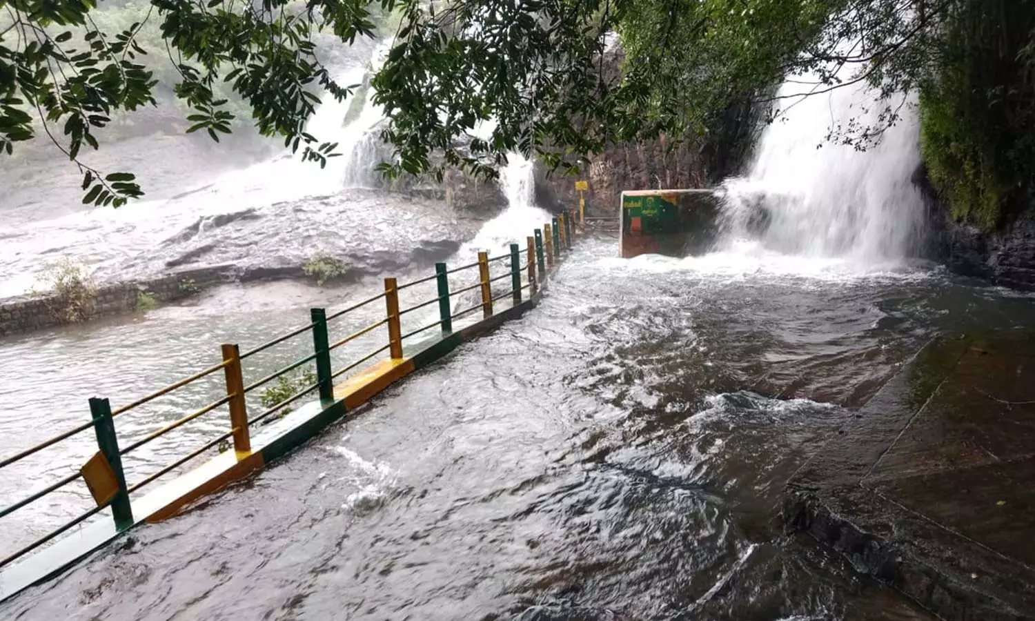 நெல்லை, தென்காசி, தூத்துக்குடியில் இடைவிடாது பெய்யும் மழை - அருவிகளில் குளிக்க தடை நீடிப்பு