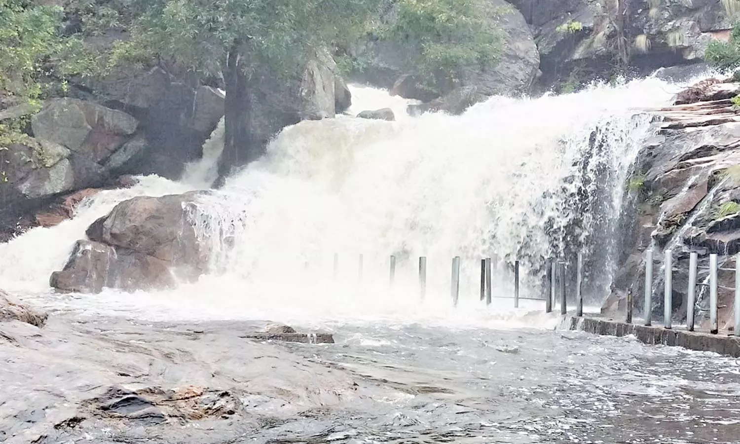 உடுமலை பஞ்சலிங்க அருவியில் வெள்ளப்பெருக்கு- 75 அடியை நெருங்கிய அமராவதி அணை நீர்மட்டம் உடுமலை பஞ்சலிங்க அருவியில் வெள்ளப்பெருக்கு- 75 அடியை நெருங்கிய அமராவதி அணை நீர்மட்டம்