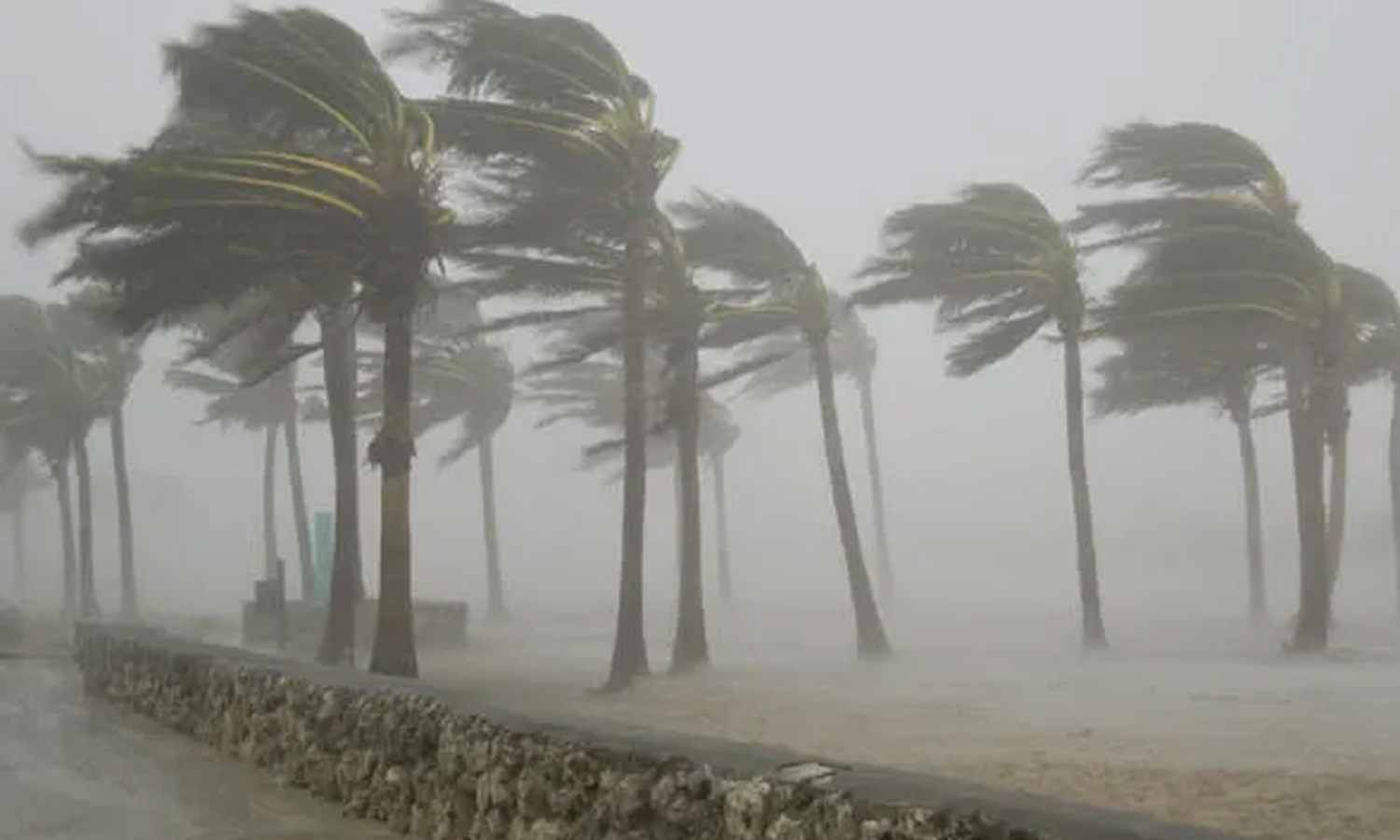 'டிட்வா' புயல்... இன்று 7 மாவட்டங்களில் 90 கி.மீ. வேகத்தில் காற்று வீச வாய்ப்பு