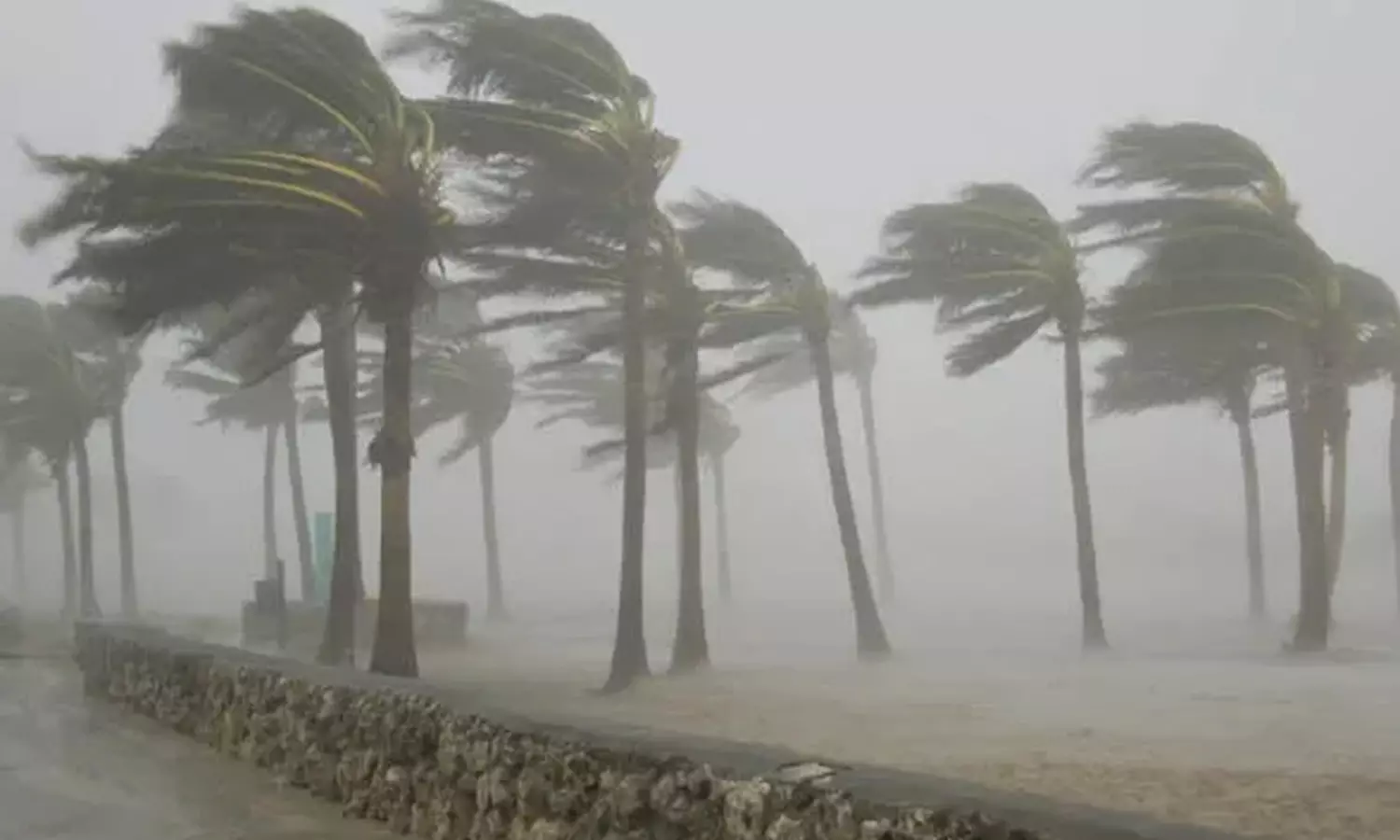 டிட்வா புயல்... இன்று 7 மாவட்டங்களில் 90 கி.மீ. வேகத்தில் காற்று வீச வாய்ப்பு டிட்வா புயல்... இன்று 7 மாவட்டங்களில் 90 கி.மீ. வேகத்தில் காற்று வீச வாய்ப்பு