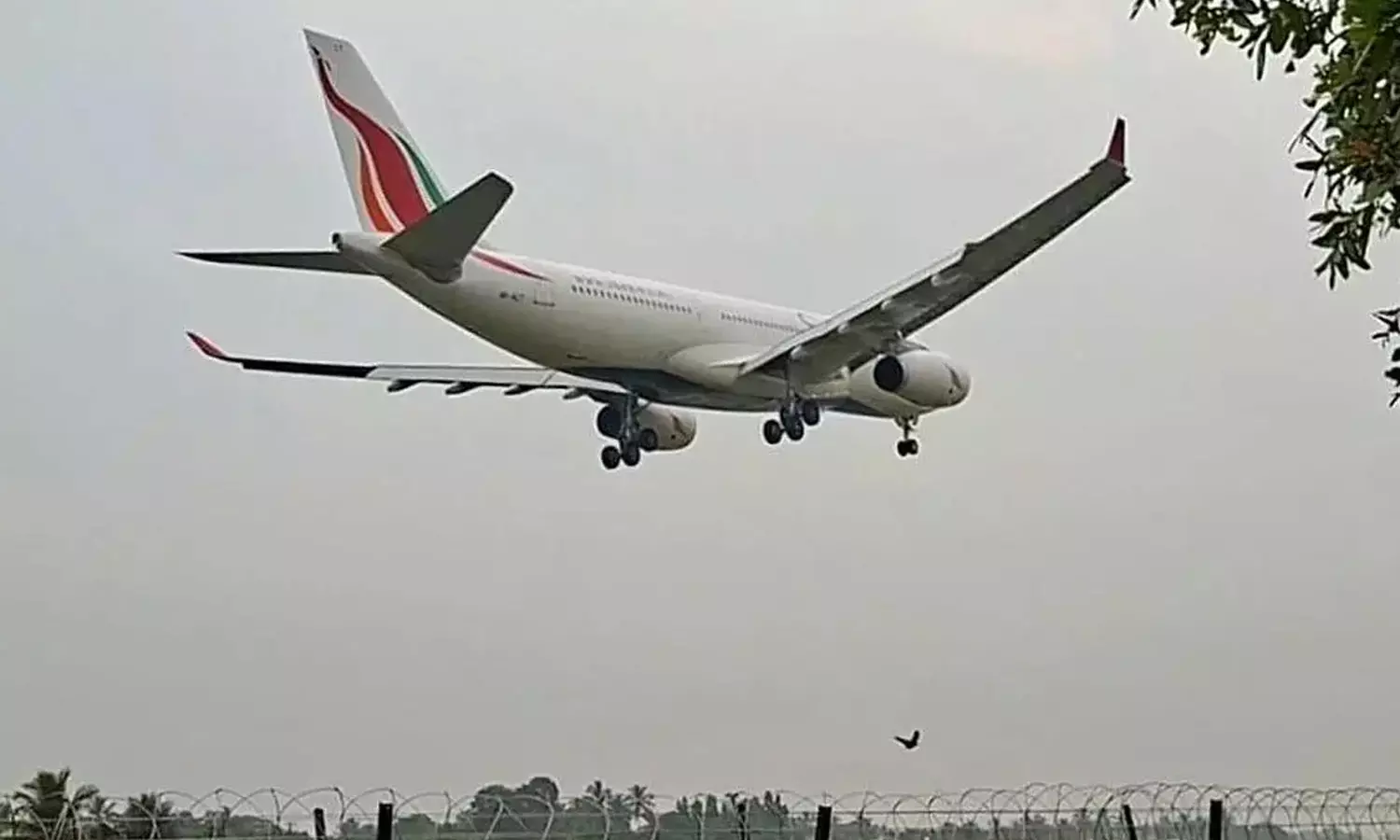 டிட்வா புயல் எதிரொலி: ஜெட் வேகத்தில் உயர்ந்த விமான கட்டணம்