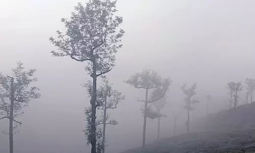 கோவை-நீலகிரியில் கடும் பனிமூட்டம்: குளிரால் பொதுமக்கள் அவதி