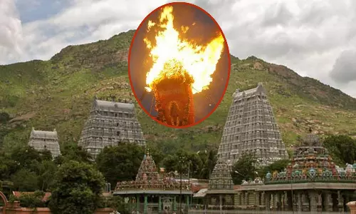 திருவண்ணாமலை கோவிலில் மகா தீபத்தன்று பக்தர்கள் மலை ஏறத்தடை - கலெக்டர் அறிவிப்பு