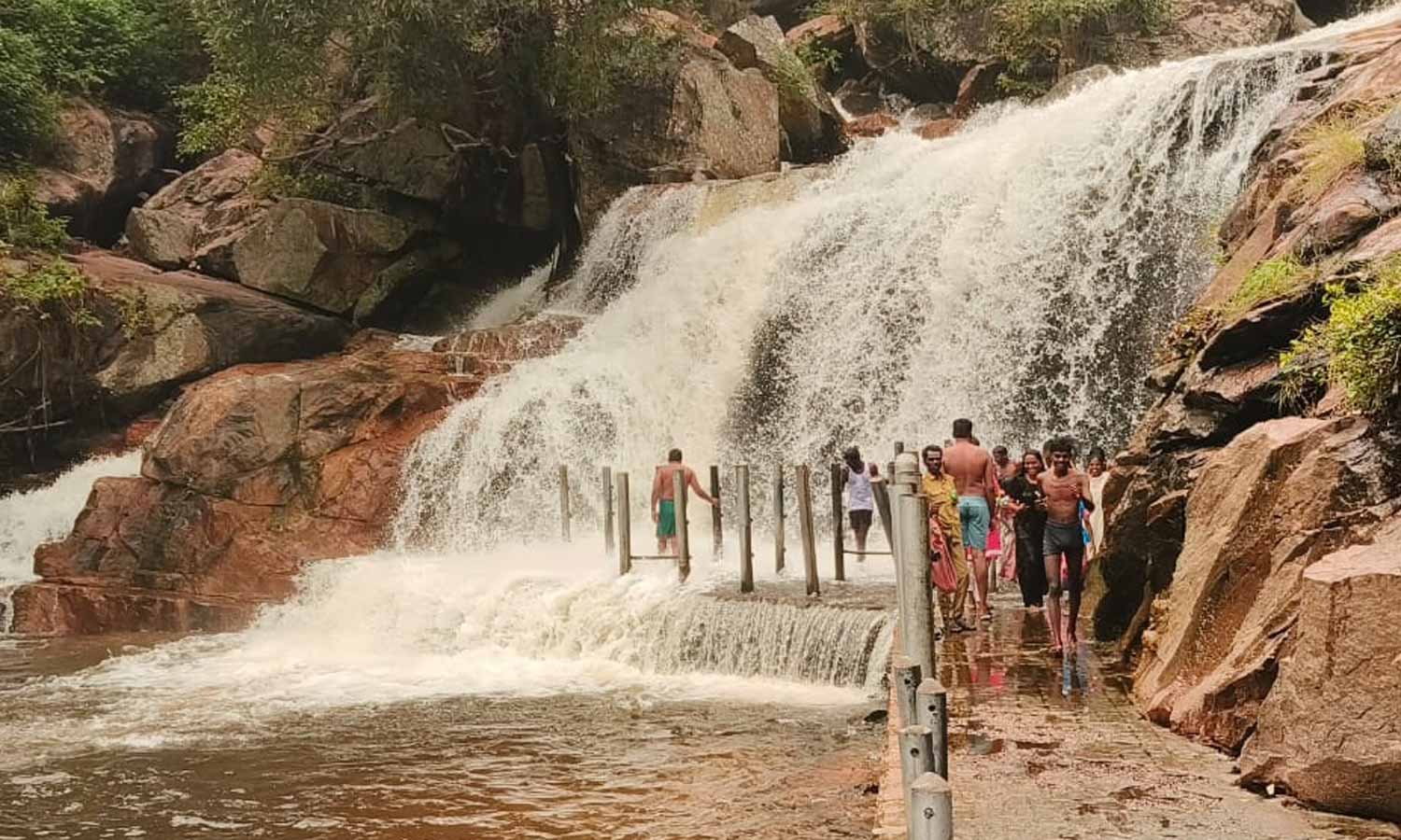 உடுமலை பஞ்சலிங்க அருவியில் சுற்றுலா பயணிகள் குளிக்க அனுமதி