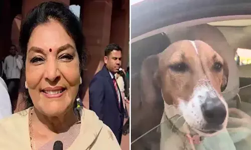 நாய்க்குட்டியுடன் நாடாளுமன்றம் வந்த காங்கிரஸ் எம்.பி! கடிப்பவர்கள் உள்ளேதான் இருக்கிறார்கள் என கண்டனங்களுக்கும் பதில்!