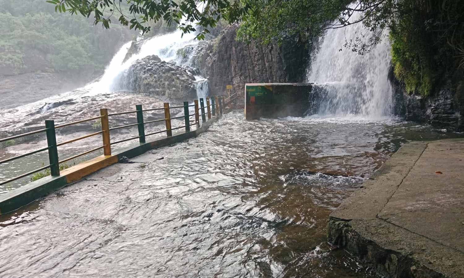 பாபநாசம் அகஸ்தியர் அருவியில் குளிக்க அனுமதி- மணிமுத்தாறு அருவியை பார்வையிடலாம்