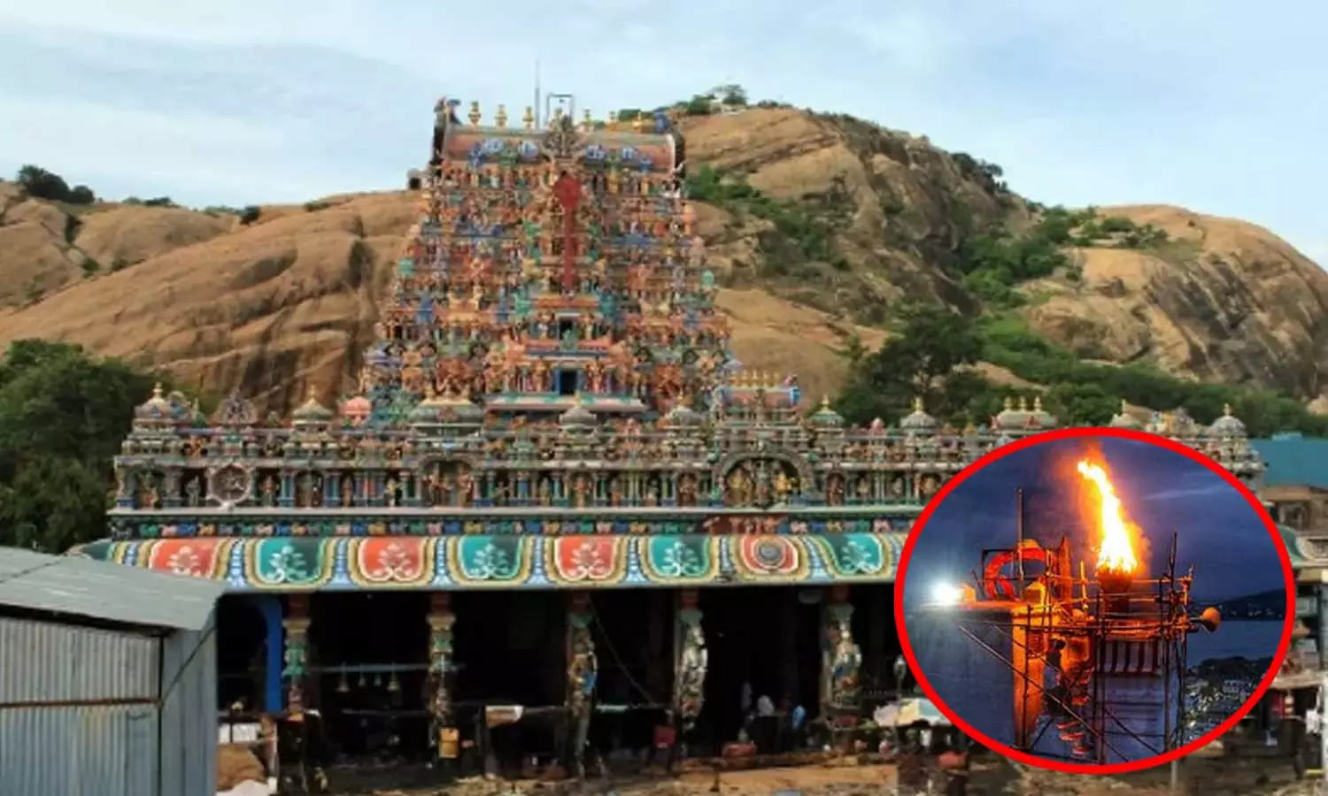 திருப்பரங்குன்றம் மலை உச்சியில் தீபம் - கோவில் நிர்வாகம் சார்பில் மேல்முறையீடு
