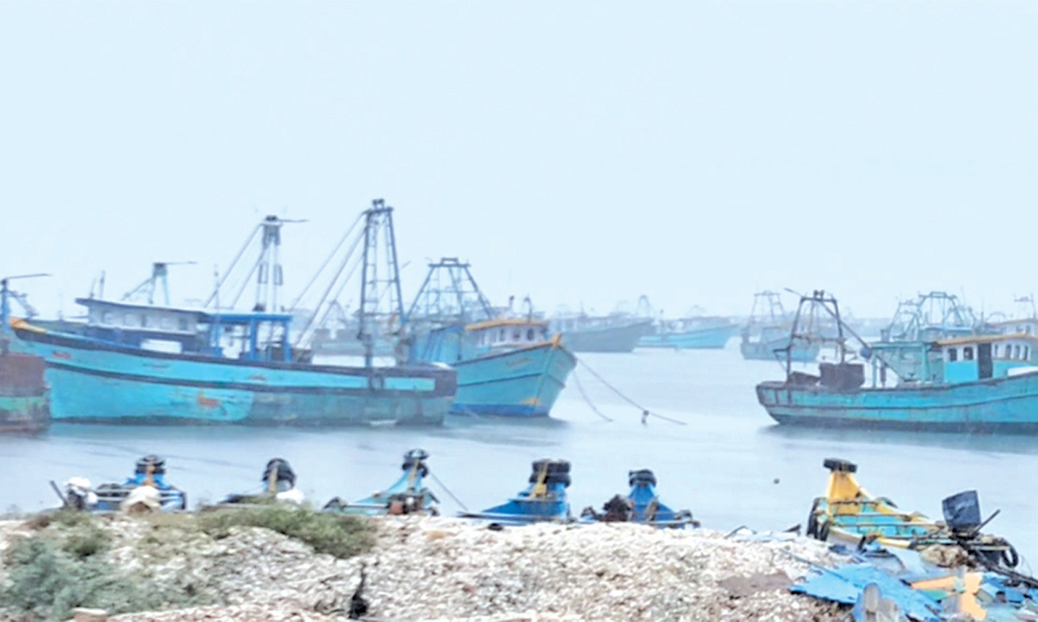 14 நாட்களுக்கு பிறகு கடலுக்கு சென்ற புதுக்கோட்டை மீனவர்கள்