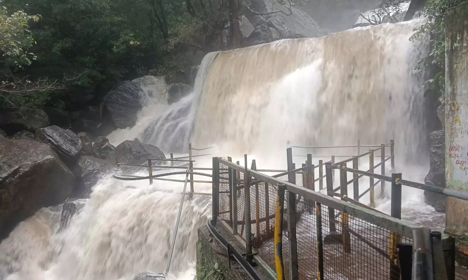 தேனி மாவட்டத்தில் கனமழை- சுருளி அருவியில் வெள்ளப்பெருக்கால் தடை