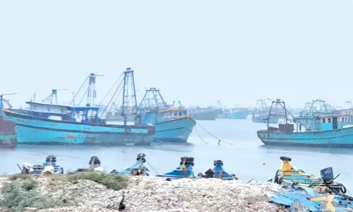 14 நாட்களுக்கு பிறகு கடலுக்கு சென்ற புதுக்கோட்டை மீனவர்கள்