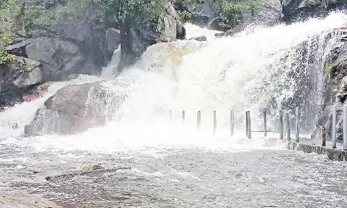 தொடர் மழையால் நீர்வரத்து அதிகரிப்பு- உடுமலை பஞ்சலிங்க அருவியில் குளிக்க தடை