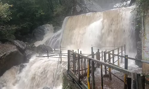 தேனி மாவட்டத்தில் கனமழை- சுருளி அருவியில் வெள்ளப்பெருக்கால் தடை