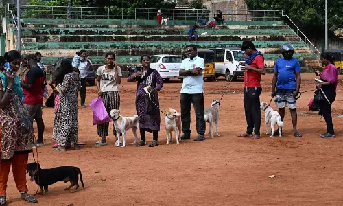 செல்லப்பிராணிகளுக்கு உரிமம் பெறுவதற்கான காலக்கெடு நீட்டிப்பு... சென்னை மாநகராட்சி அறிவிப்பு!