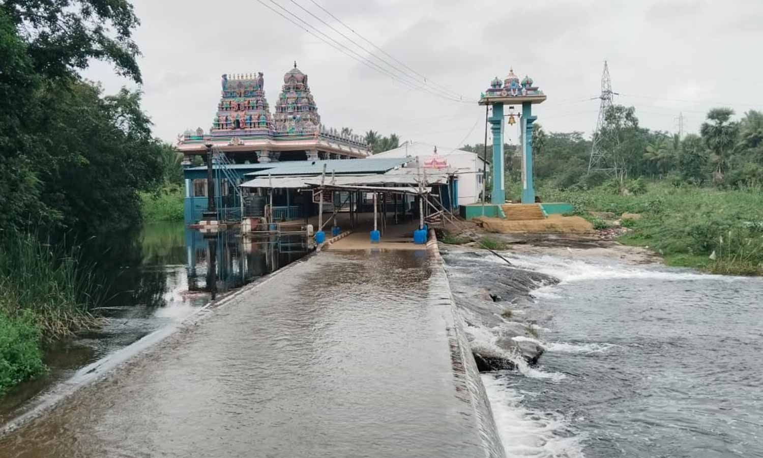 பாலாற்றில் வெள்ளப்பெருக்கு: ஆஞ்சநேயர் கோவிலுக்கு செல்ல பக்தர்களுக்கு தடை