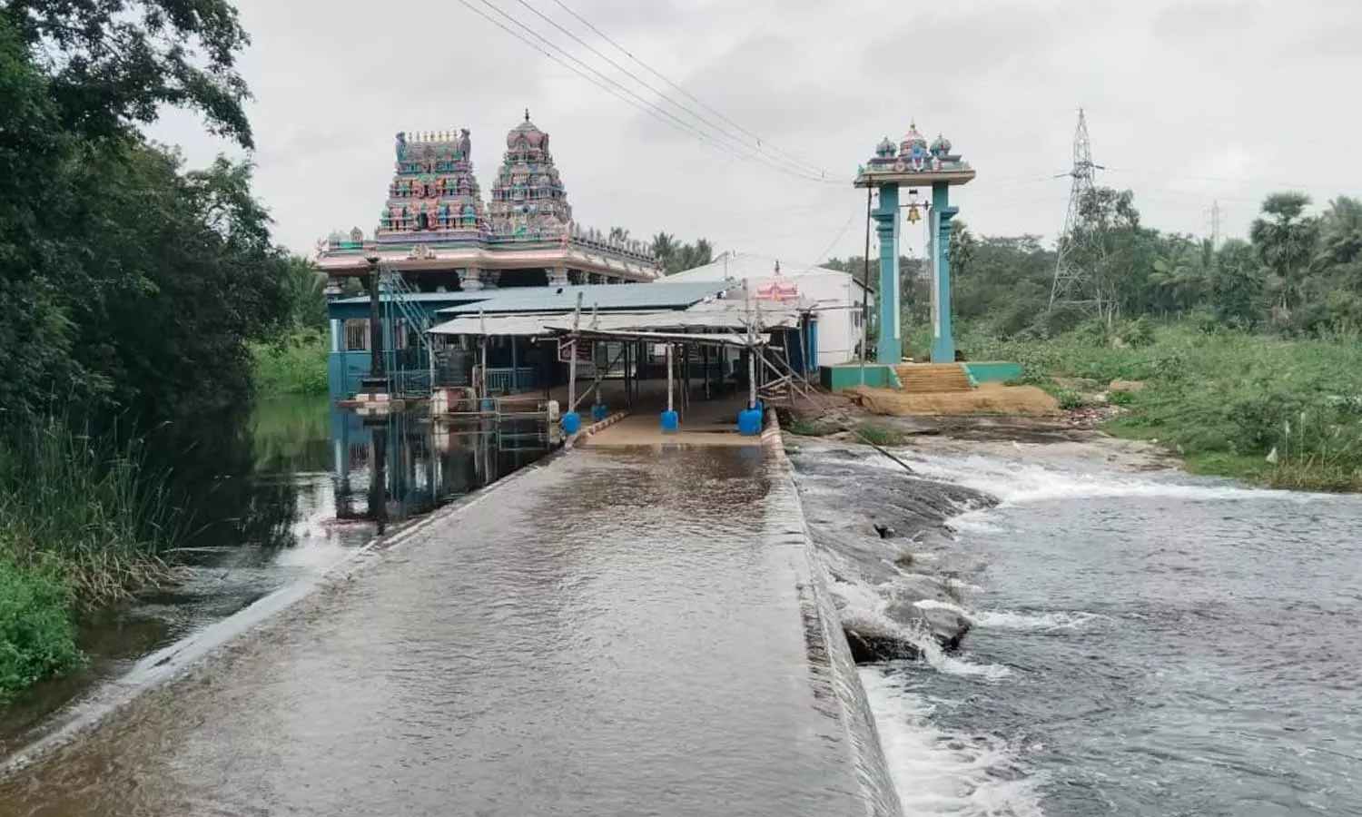 பாலாற்றில் வெள்ளப்பெருக்கு: ஆஞ்சநேயர் கோவிலுக்கு செல்ல பக்தர்களுக்கு தடை பாலாற்றில் வெள்ளப்பெருக்கு: ஆஞ்சநேயர் கோவிலுக்கு செல்ல பக்தர்களுக்கு தடை