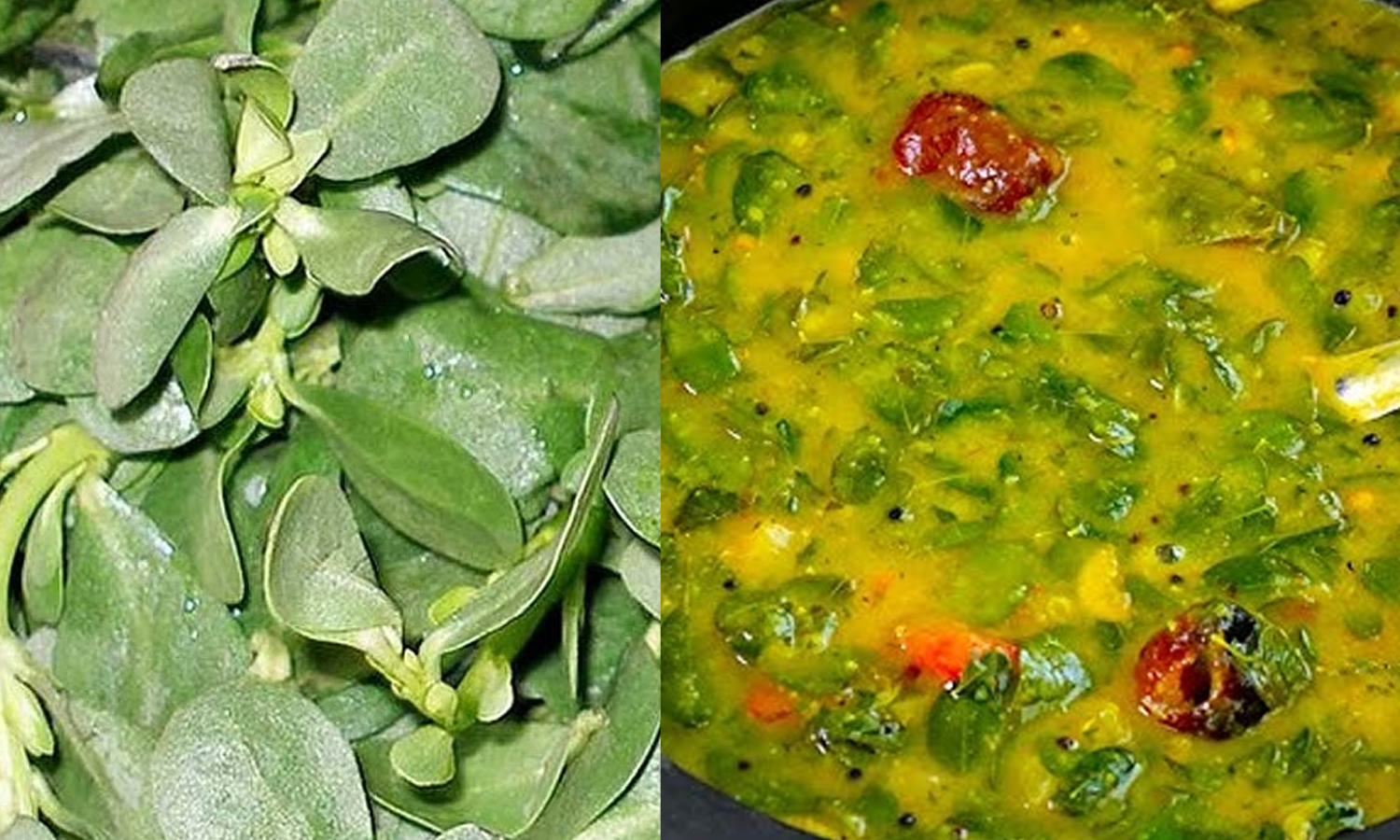 மண்ணின் பொக்கிஷம் 