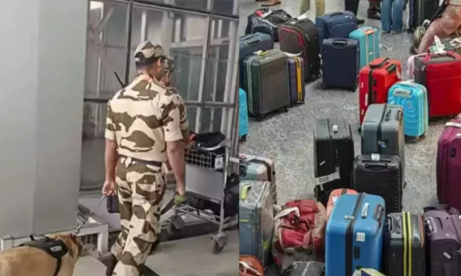 சென்னை விமான நிலயத்தில் பீதியை கிளப்பிய சூட்கேஸ்.. மோப்ப நாய்களுடன் நடந்த சோதனை