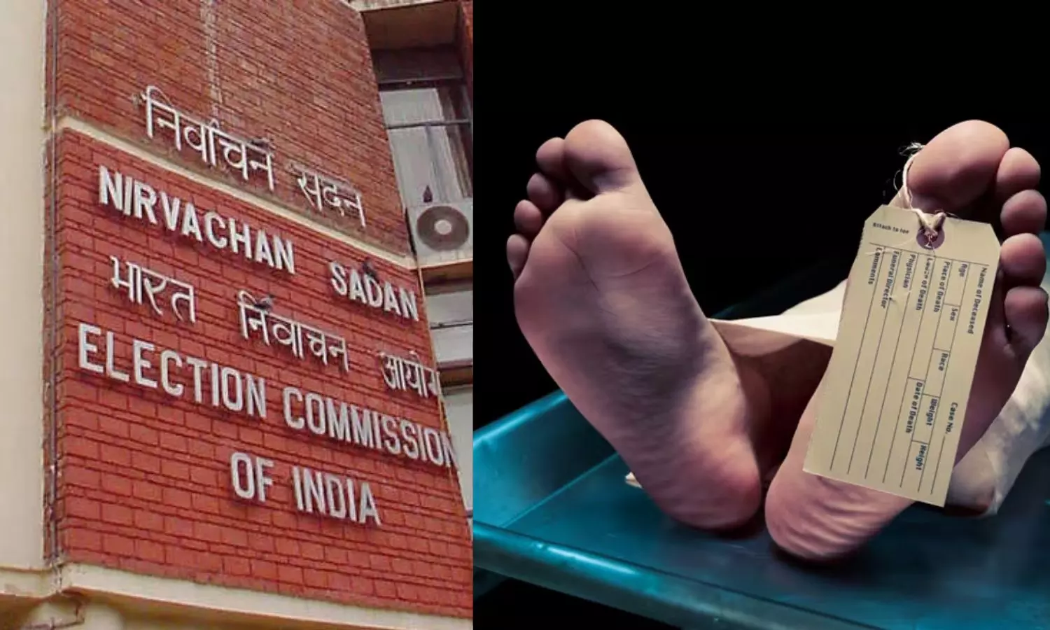 SIR பணியில் ஈடுபட்டு வந்த ஊழியர் மாரடைப்பால் உயிரிழப்பு.. தூத்துக்குடியில் சோகம்