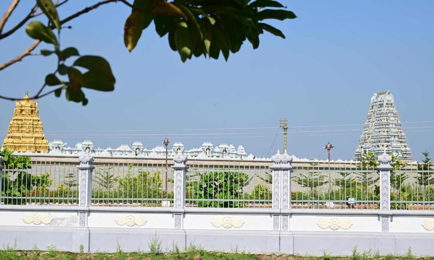 பீகாரிலும் அருள்பாலிக்க உள்ள 'எம்பெருமான்' - TTD-க்கு 10.11 ஏக்கர் நிலத்தை ஒதுக்கியது மாநில அரசு!