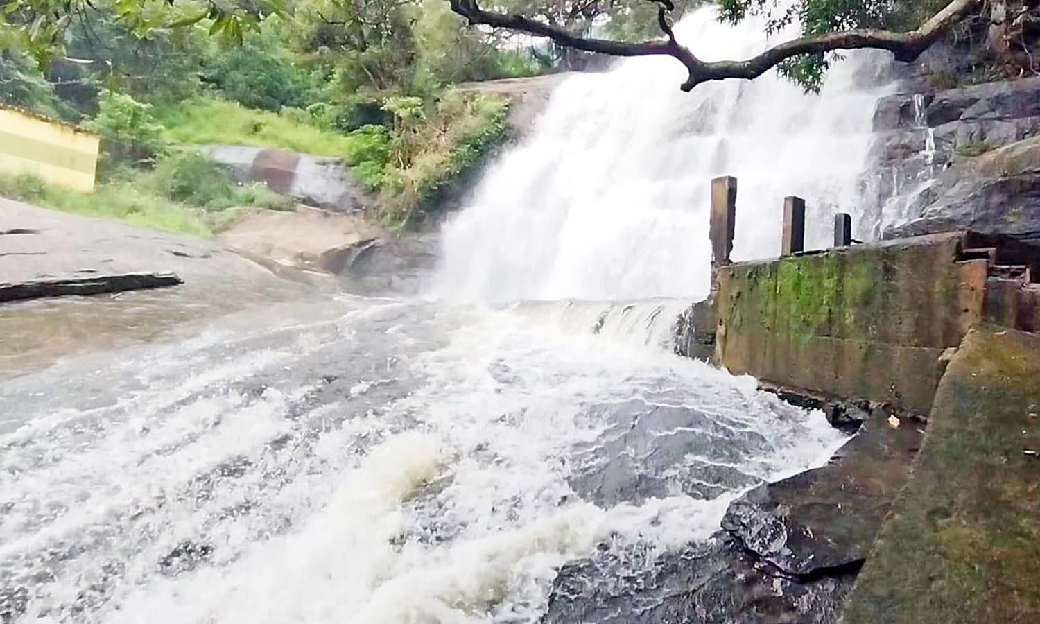 மேகமலை அருவியில் 50-வது நாளாக இன்றும் சுற்றுலா பயணிகளுக்கு தடை