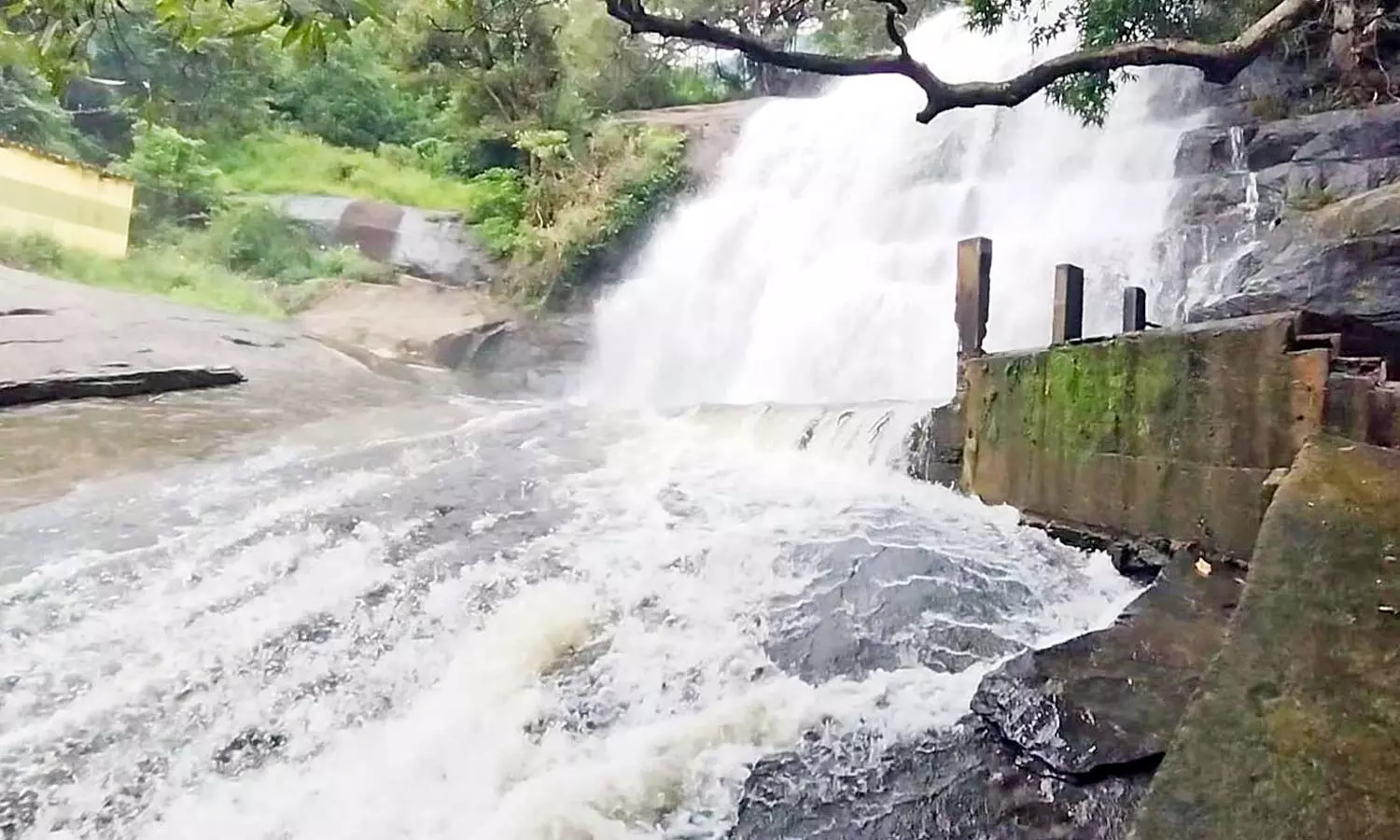 மேகமலை அருவியில் 50-வது நாளாக இன்றும் சுற்றுலா பயணிகளுக்கு தடை மேகமலை அருவியில் 50-வது நாளாக இன்றும் சுற்றுலா பயணிகளுக்கு தடை