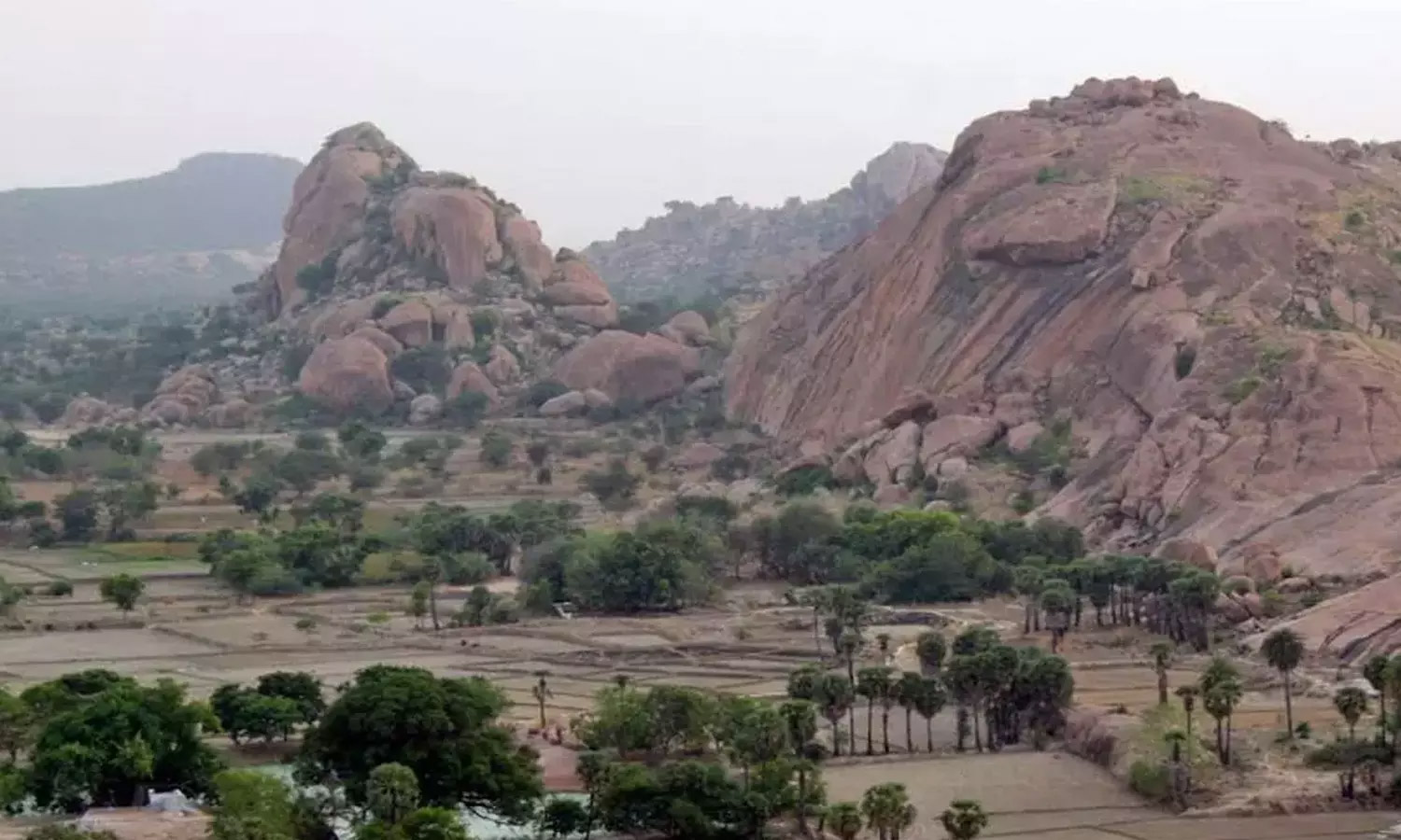 2025 REWIND: டங்ஸ்டன் சுரங்க திட்டமும் அரிட்டாபட்டி மக்களின் போராட்டமும்