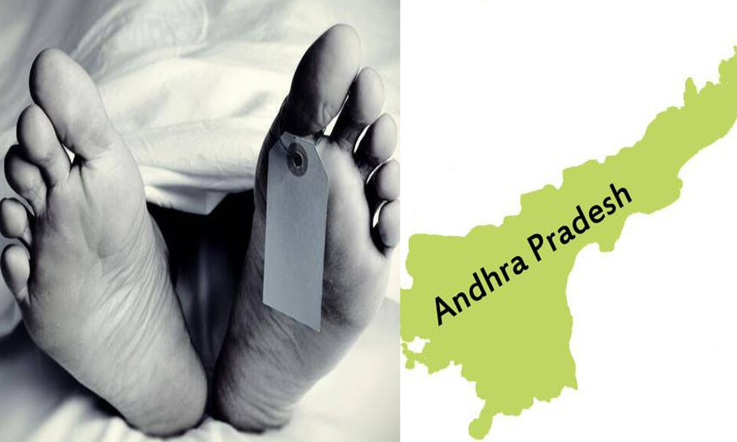 ஆந்திராவில் மகனுக்கு ரூ.45 லட்சத்தில் நினைவிடம் கட்டிய பெற்றோர்