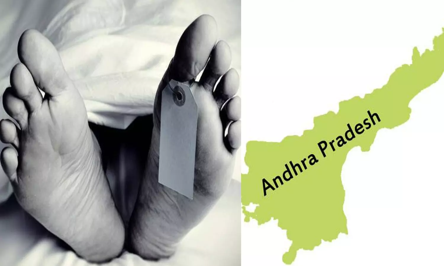 ஆந்திராவில் மகனுக்கு ரூ.45 லட்சத்தில் நினைவிடம் கட்டிய பெற்றோர் ஆந்திராவில் மகனுக்கு ரூ.45 லட்சத்தில் நினைவிடம் கட்டிய பெற்றோர்