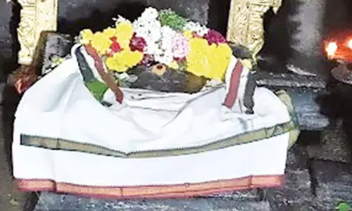 குழந்தை பாக்கியம் அருளும் நச்சாடை தவிர்த்தருளிய சுவாமி குழந்தை பாக்கியம் அருளும் நச்சாடை தவிர்த்தருளிய சுவாமி