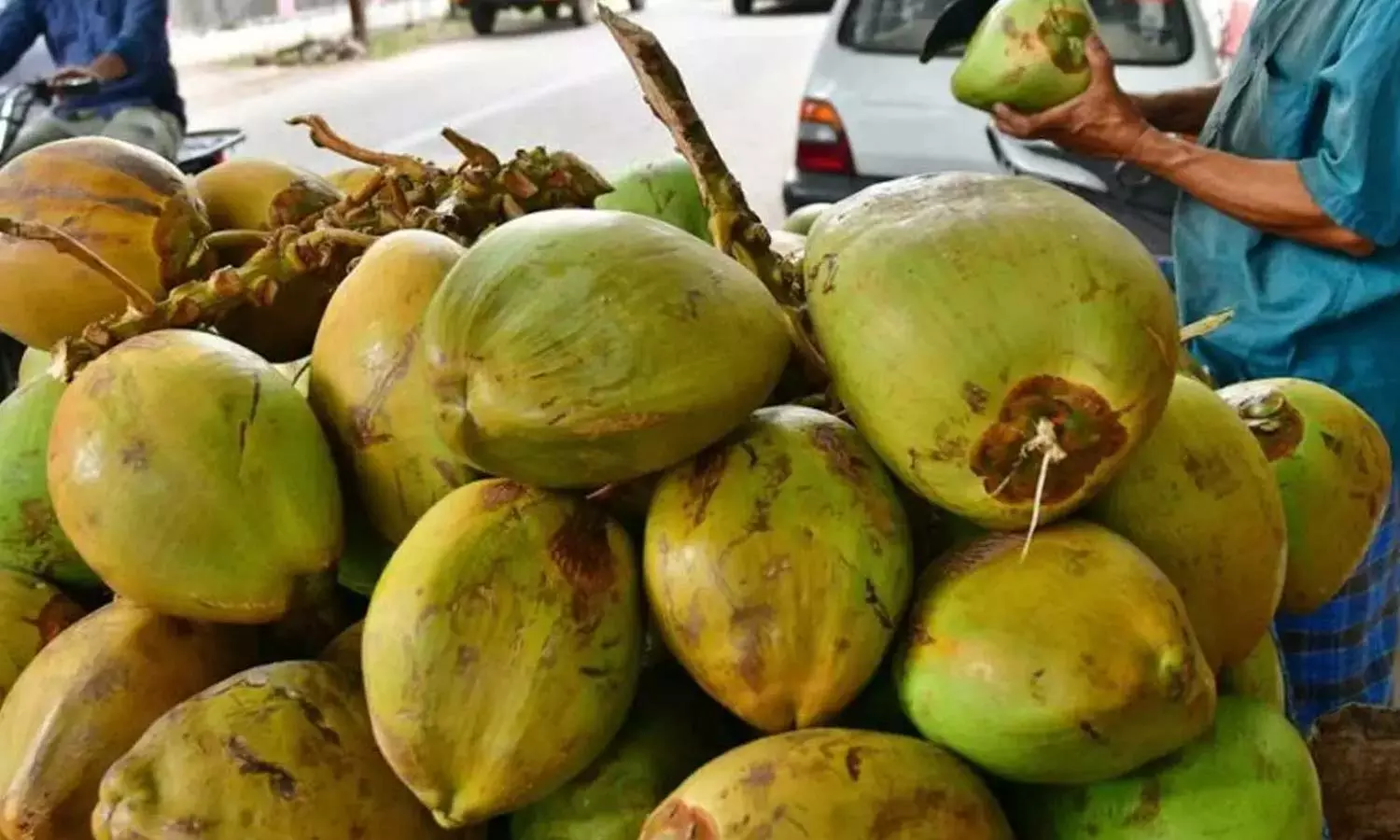 ஆனைமலையில் இளநீர் விலை தொடர் வீழ்ச்சி- விவசாயிகள் கவலை ஆனைமலையில் இளநீர் விலை தொடர் வீழ்ச்சி- விவசாயிகள் கவலை