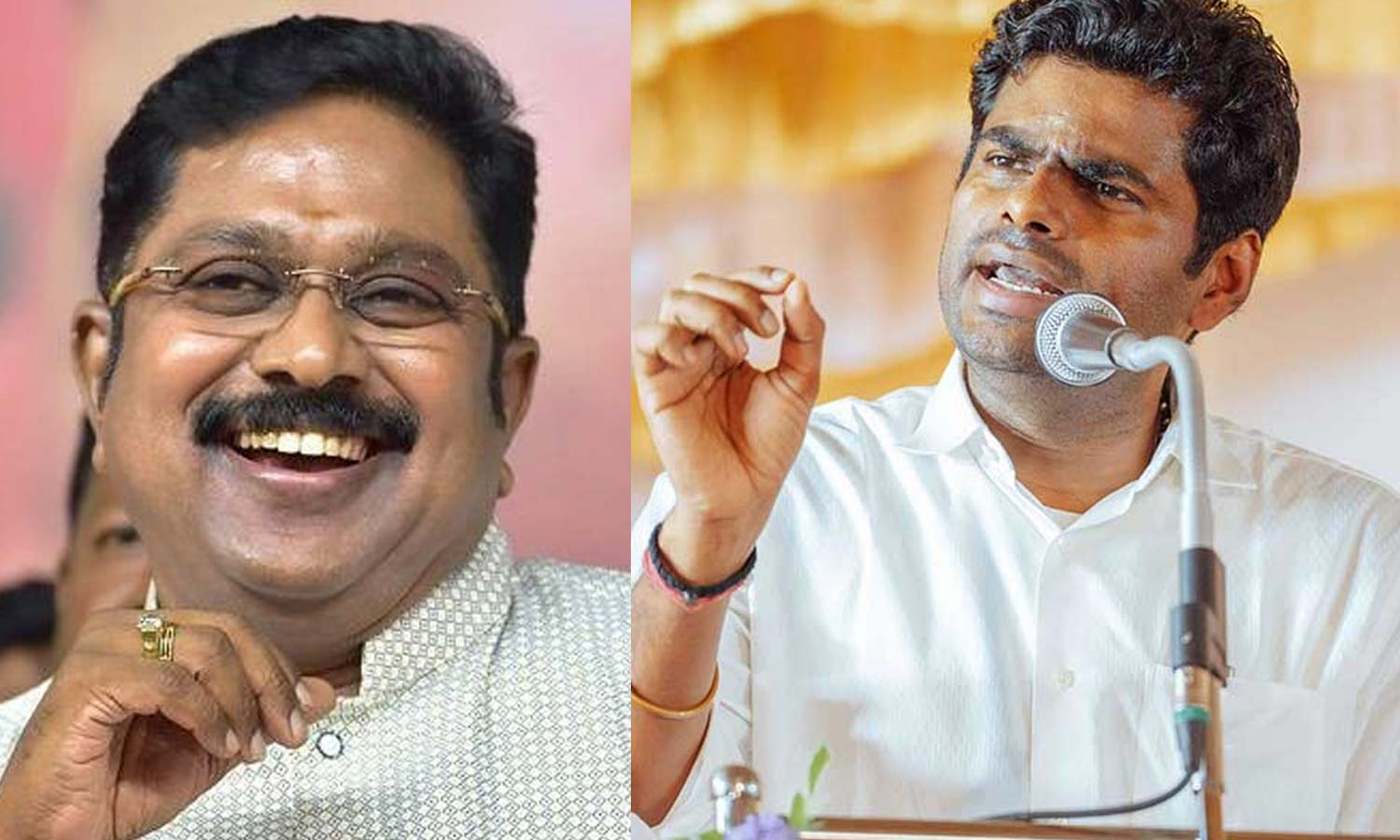 டி.டி.வி. தினகரனுக்கு பிறந்தநாள் வாழ்த்து தெரிவித்த அண்ணாமலை