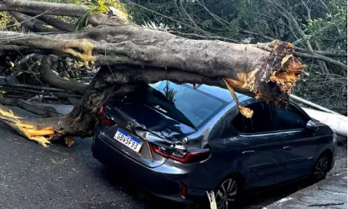 பிரேசிலை உலுக்கிய புயல்: மின்சாரம் துண்டிப்பால் 13 லட்சம் வீடுகள் இருளில் தவிப்பு