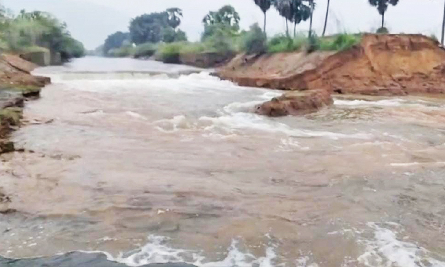 மணிமுத்தாறு 80 அடி பாசன கால்வாயில் 2-வது முறையாக உடைப்பு - விவசாய பணிகள் கடும் பாதிப்பு