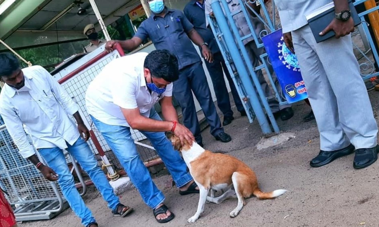 'பீச்சஸ்' எங்கள் குடும்பத்தில் ஒரு அங்கமாகிவிட்டது'...தெருநாயை வளர்ப்புநாயாக பதிவு செய்த அமைச்சர் பி.டி.ஆர்!