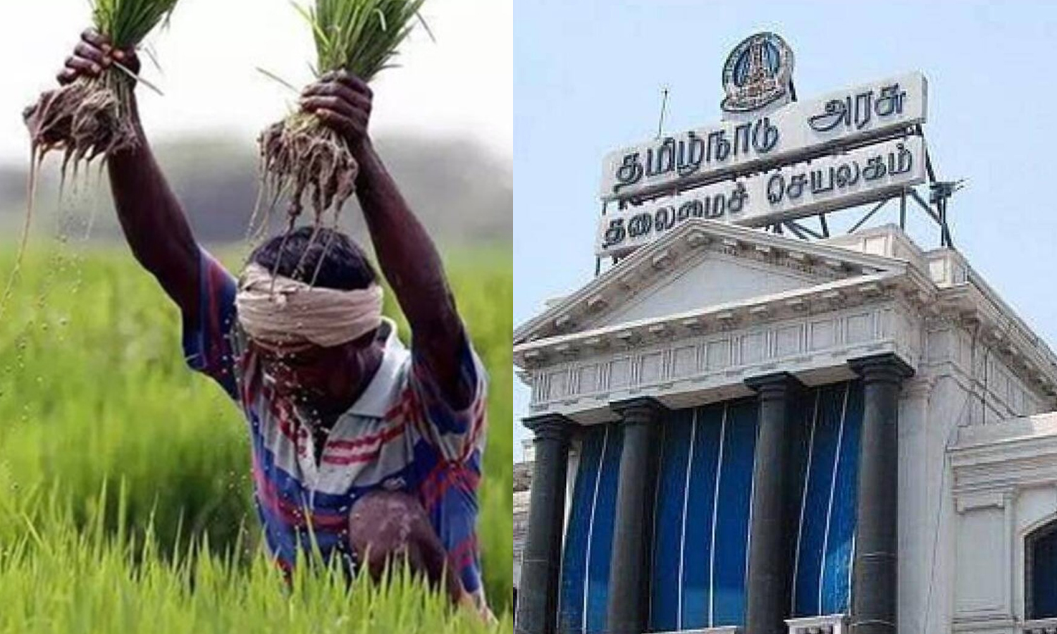 பயிர் நிவாரணம்- ரூ.289.63 கோடி நிதி ஒதுக்கியது தமிழ்நாடு அரசு