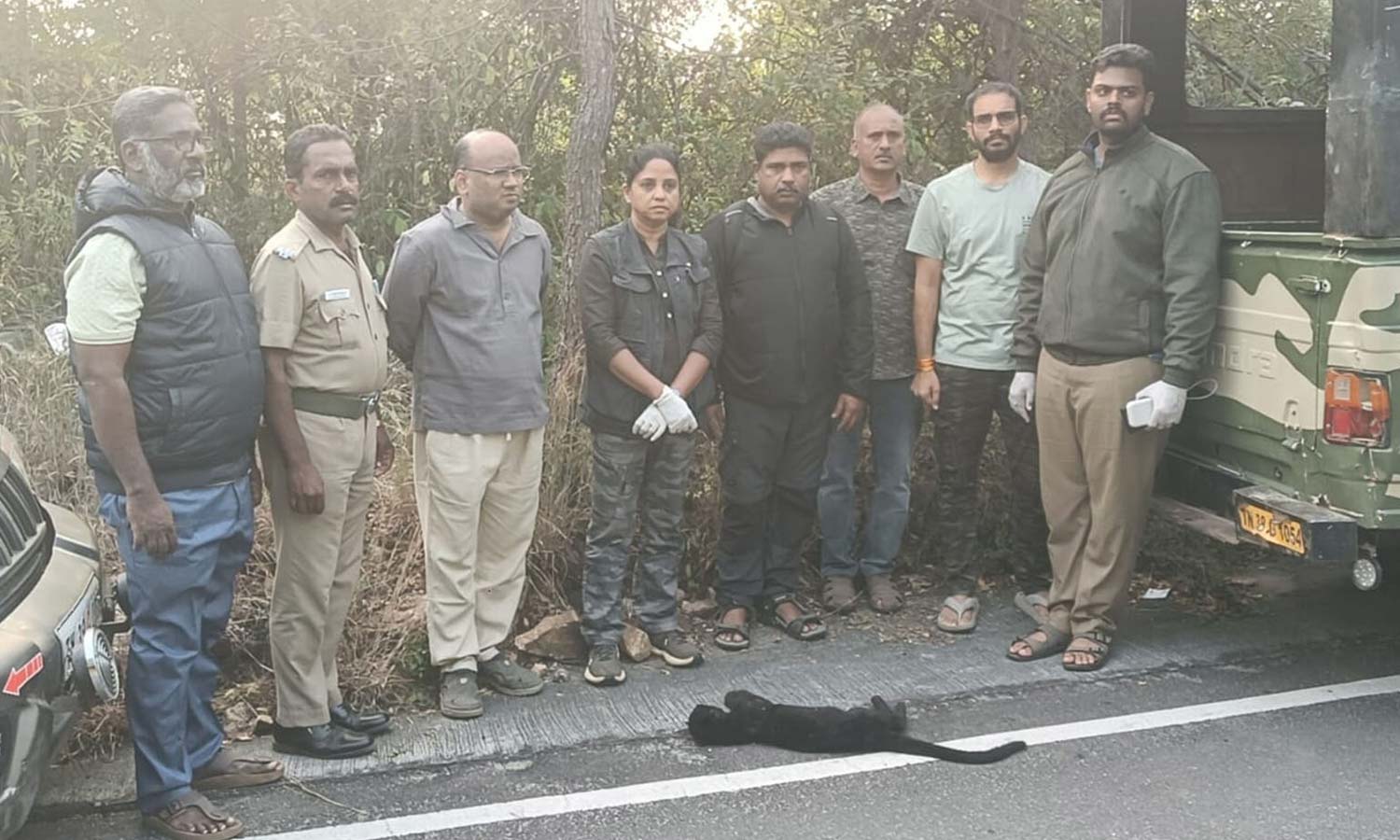 கோவை மருதமலை அடிவாரத்தில் மீட்கப்பட்ட கருஞ்சிறுத்தை குட்டி உயிரிழப்பு