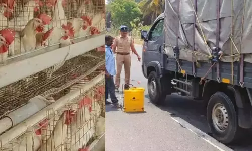 கேரளா பறவைக் காய்ச்சல் எதிரொலி- தமிழ்நாட்டில் தீவிர கண்காணிப்பு