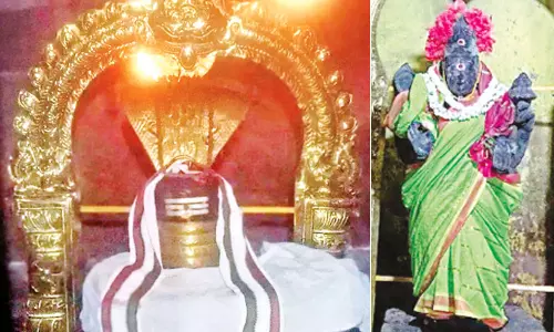 மன அமைதி தரும் பெருந்தோட்டம் ஐராவதேஸ்வரர்