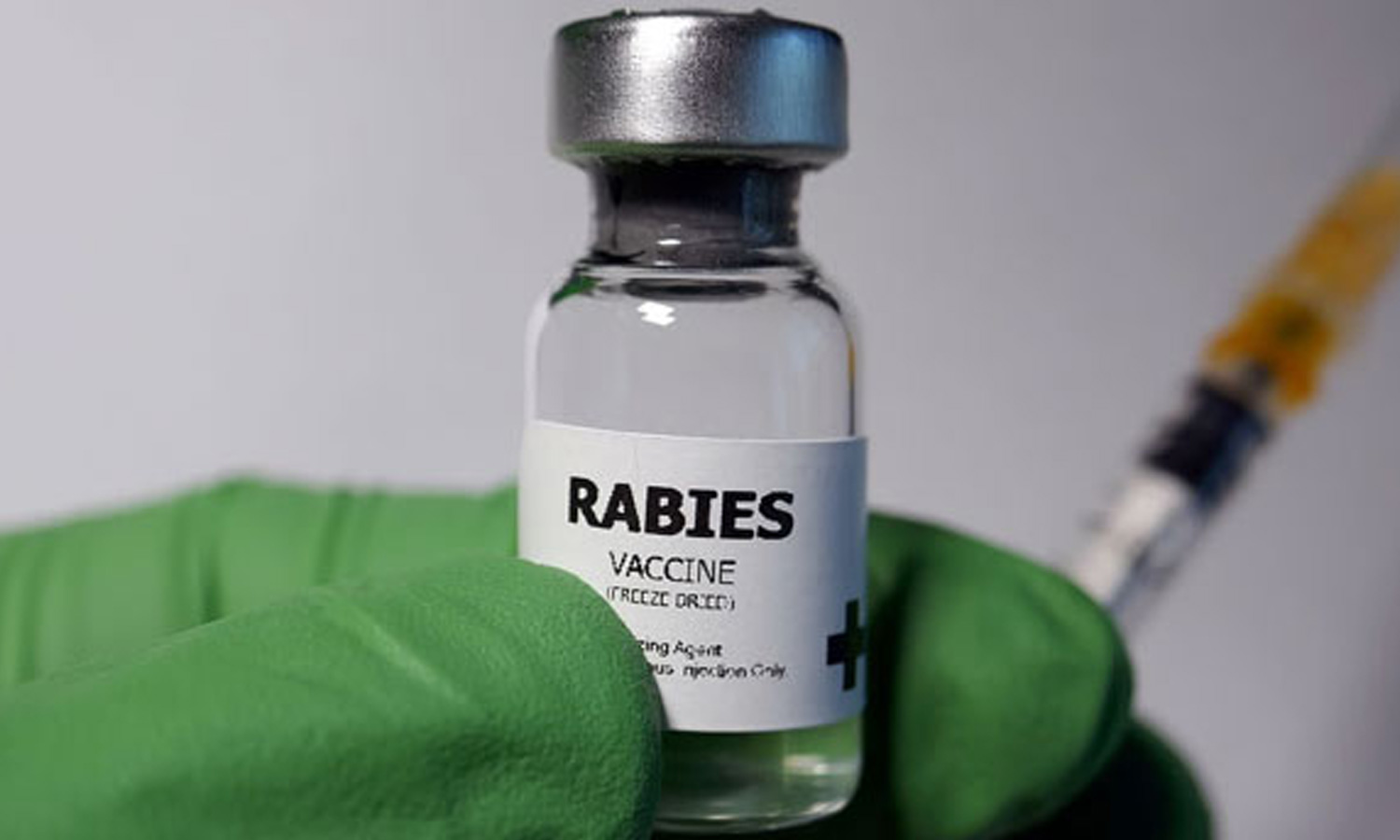 இந்தியாவில் புழங்கும் போலி வெறிநாய்க்கடி தடுப்பூசி- ஆஸ்திரேலிய சுகாதாரத்துறை எச்சரிக்கை!