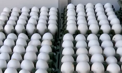 முட்டையில் புற்றுநோயை உண்டாக்கும் நச்சு இல்லை- கர்நாடக அரசு அறிவிப்பு