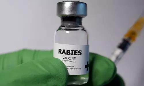 இந்தியாவில் புழங்கும் போலி வெறிநாய்க்கடி தடுப்பூசி- ஆஸ்திரேலிய சுகாதாரத்துறை எச்சரிக்கை!