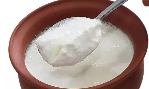 குளிர் காலத்தில் தயிர் ஏன் சாப்பிட வேண்டும்?