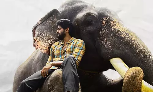 ஓ.டி.டி.யில் வெளியாகிறது கும்கி 2- எப்போது தெரியுமா?